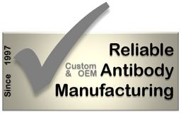 1997 - 2011: Reliable custom and OEM antibody manufacturing